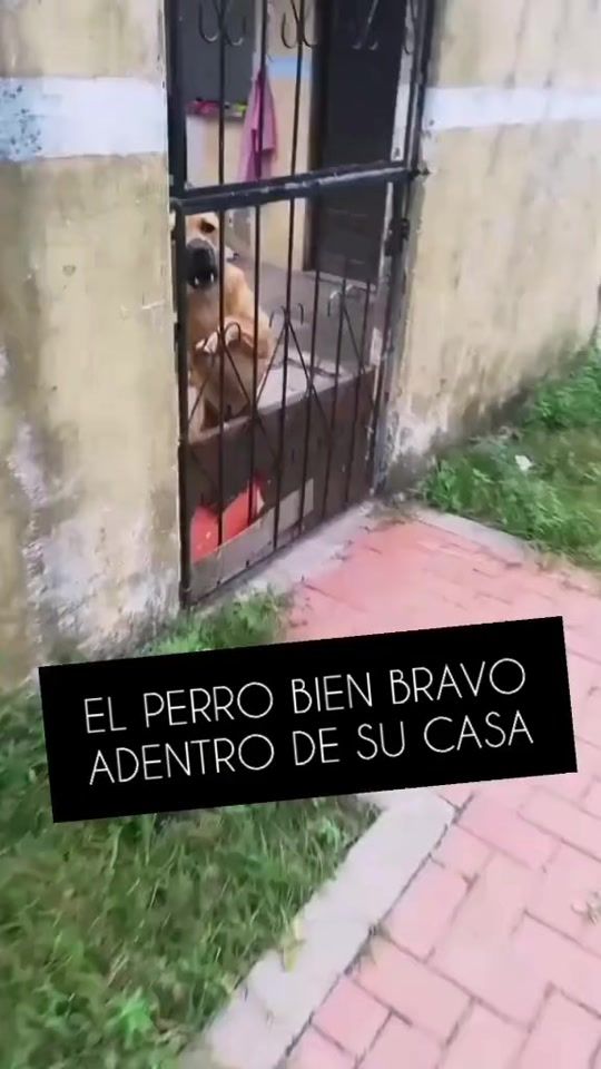 TikTok video thumbnail by luwayfz