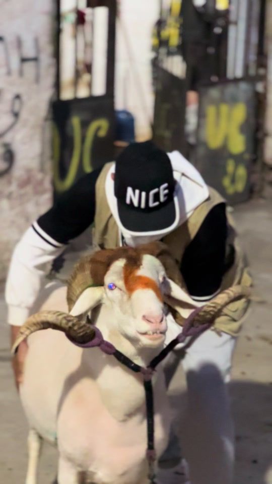 TikTok video thumbnail by aminedone4