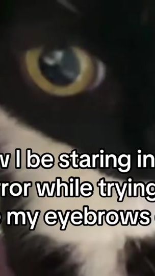 TikTok video thumbnail by gneishvilizz