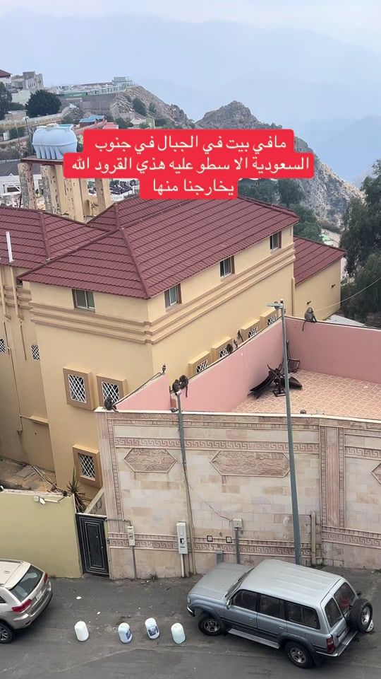 TikTok video thumbnail by hatani12