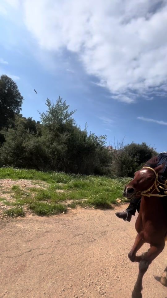 TikTok video thumbnail by sanaa._23