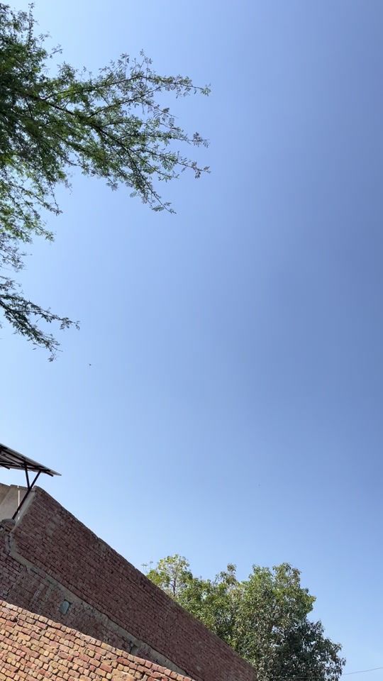 TikTok video thumbnail by sameerofficial611