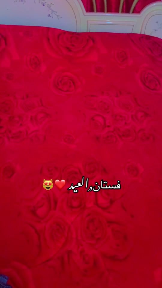 TikTok video thumbnail by dadoali36