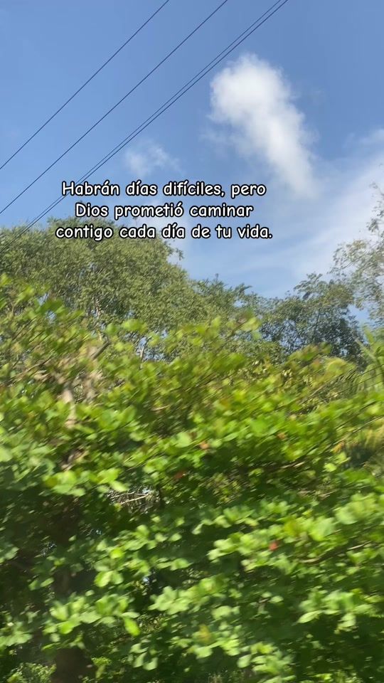 TikTok video thumbnail by elyar199