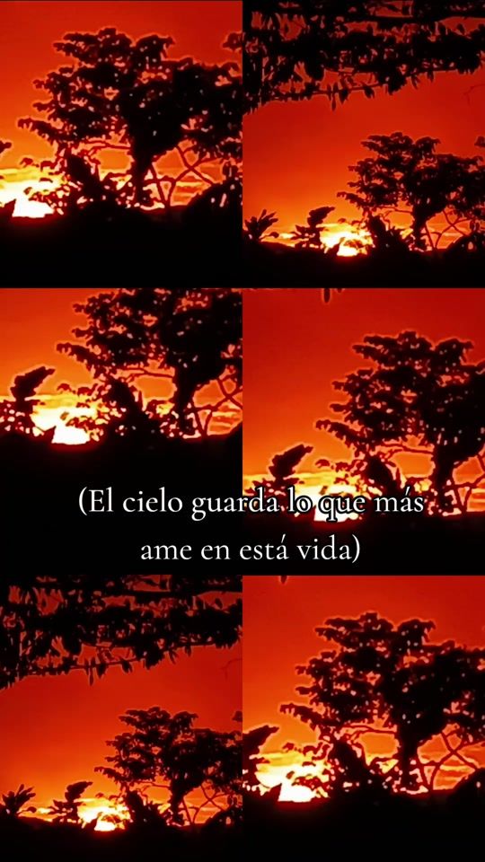 TikTok video thumbnail by agnolyherrera