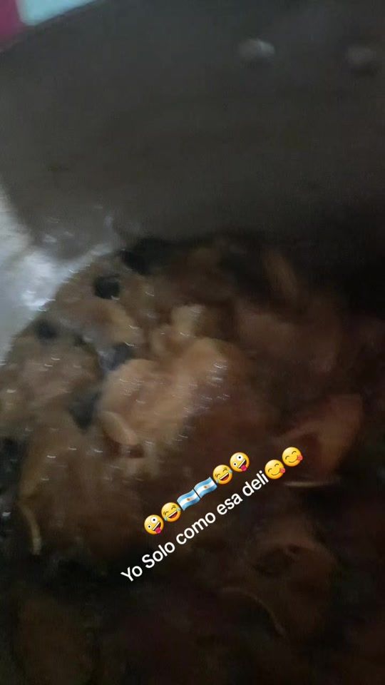 TikTok video thumbnail by sandritaflores8