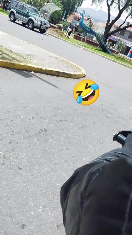 TikTok video thumbnail by silvia.t.u1