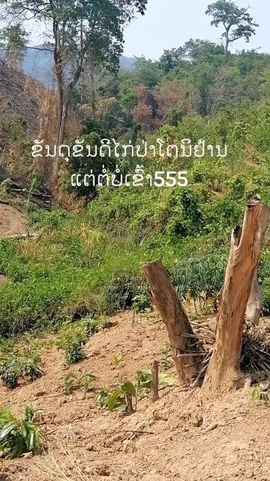 TikTok video thumbnail by user2818108376148