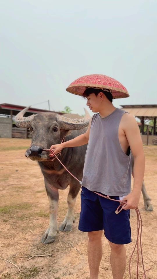 TikTok video thumbnail by dong.phatthana