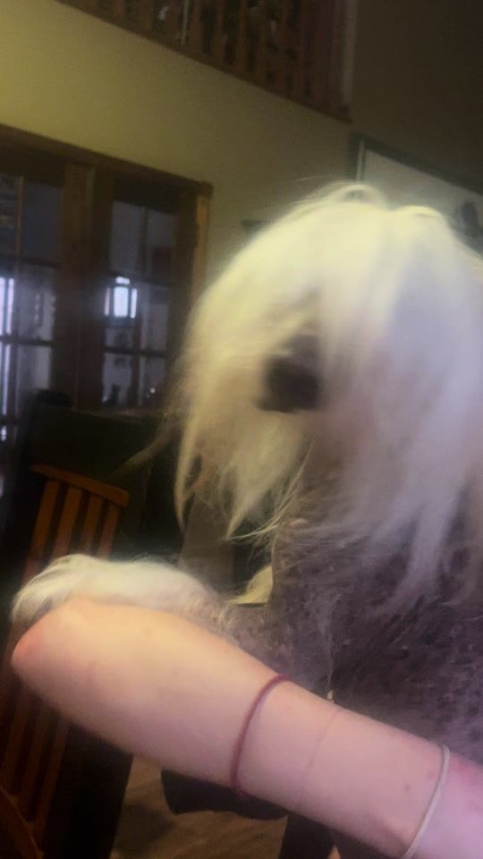 TikTok video thumbnail by hjog416