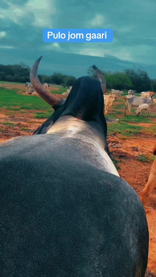 TikTok video thumbnail by oubaidasonde