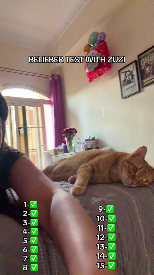 TikTok video thumbnail by monadarwishh
