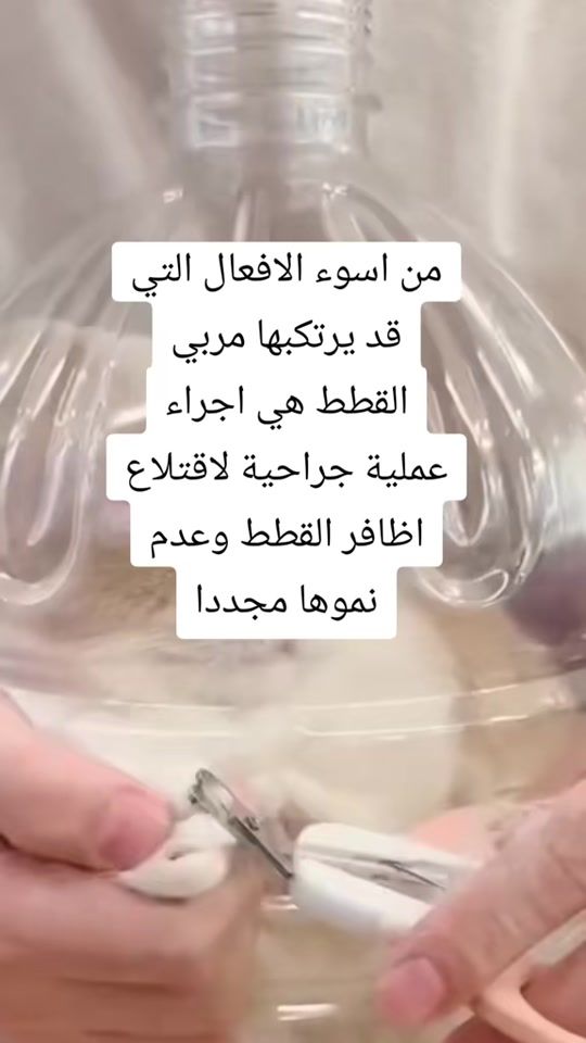 TikTok video thumbnail by leadah29