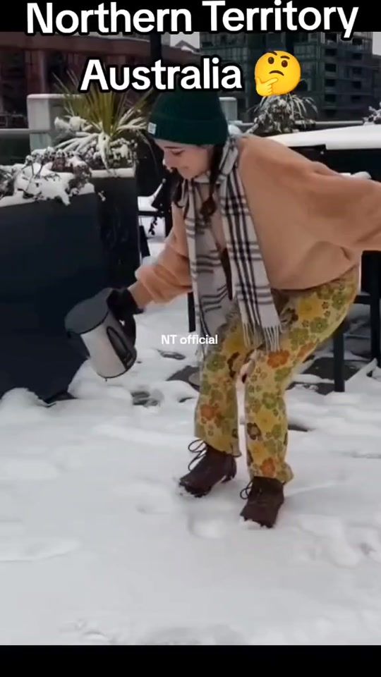 TikTok video thumbnail by territoryofficial