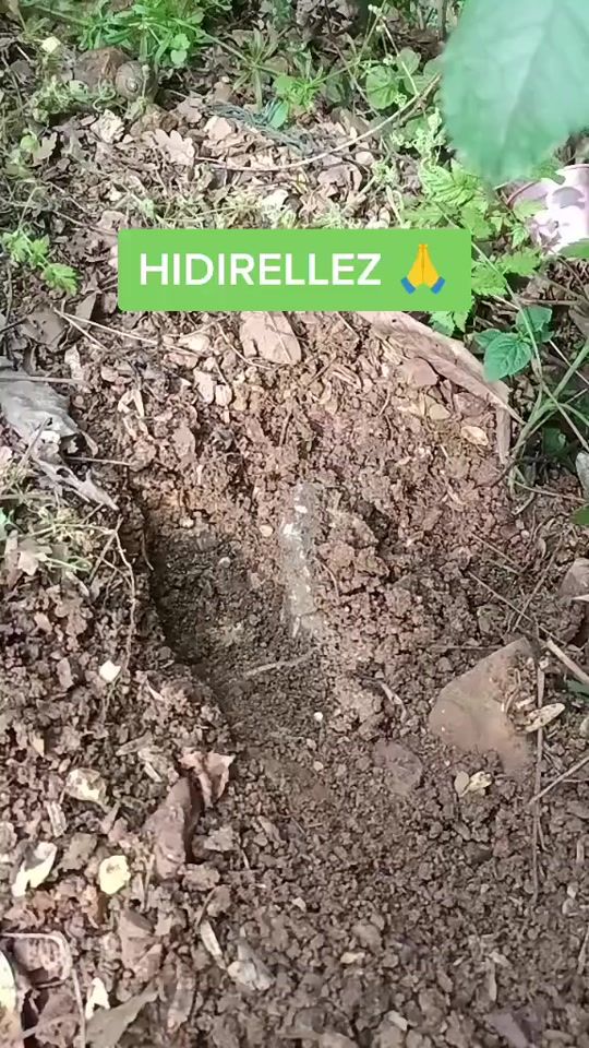 TikTok video thumbnail by tarot_bircan__