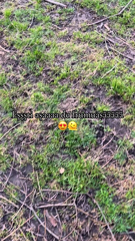 TikTok video thumbnail by d_k_1__
