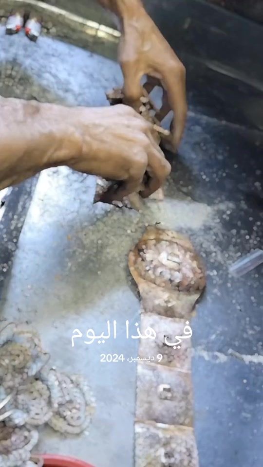 TikTok video thumbnail by elamaari