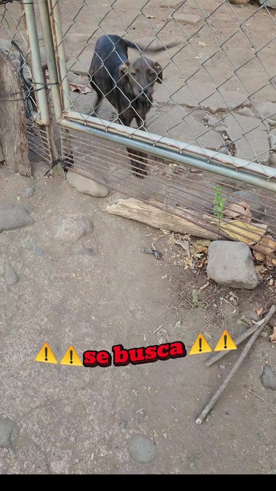TikTok video thumbnail by rodriguez_sv8a