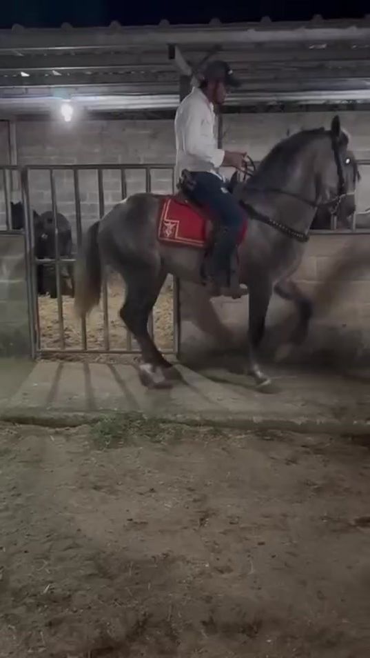 TikTok video thumbnail by daniel.seaz