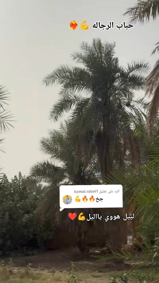 TikTok video thumbnail by user2873751567685