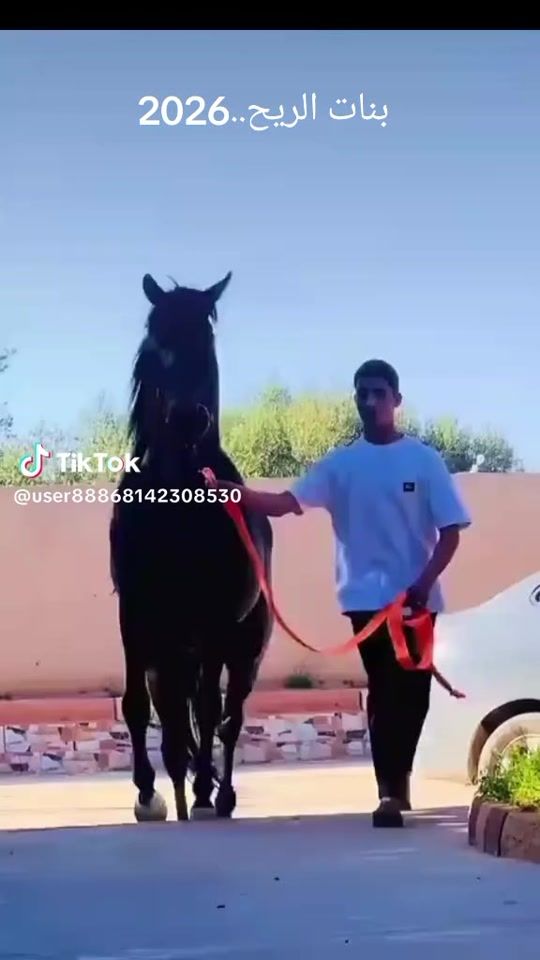 TikTok video thumbnail by abdallahalgmaty