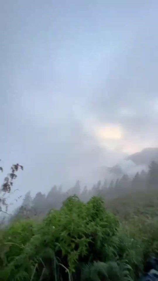 TikTok video thumbnail by shineshnonis