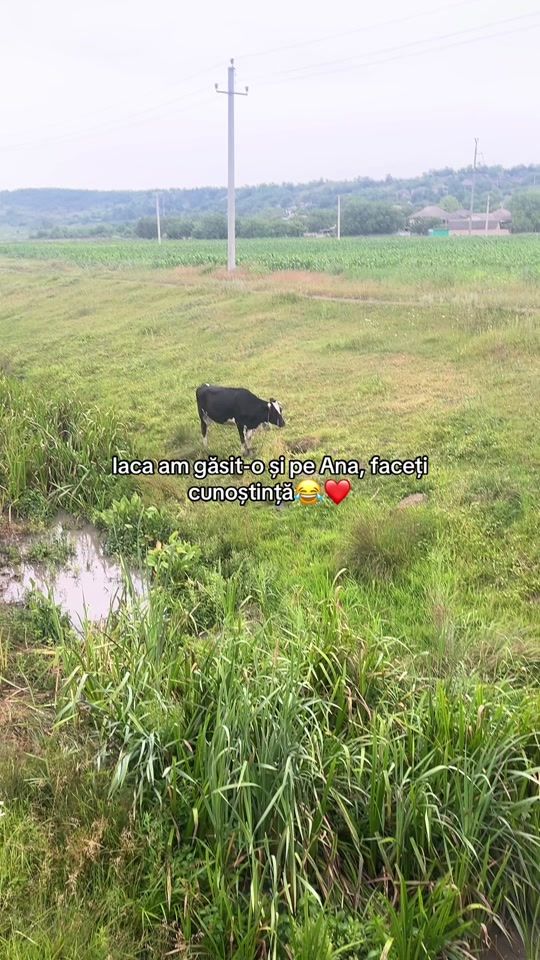 TikTok video thumbnail by vanc1u_.qx