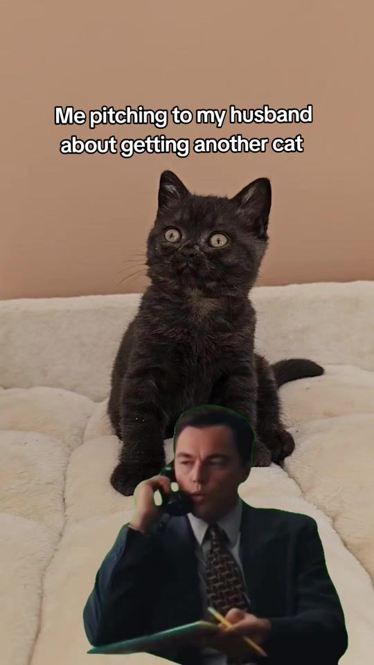 TikTok video thumbnail by mimi_starr
