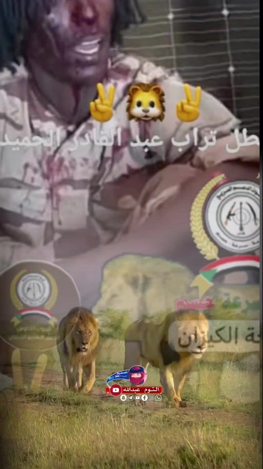 TikTok video thumbnail by user3450902058887