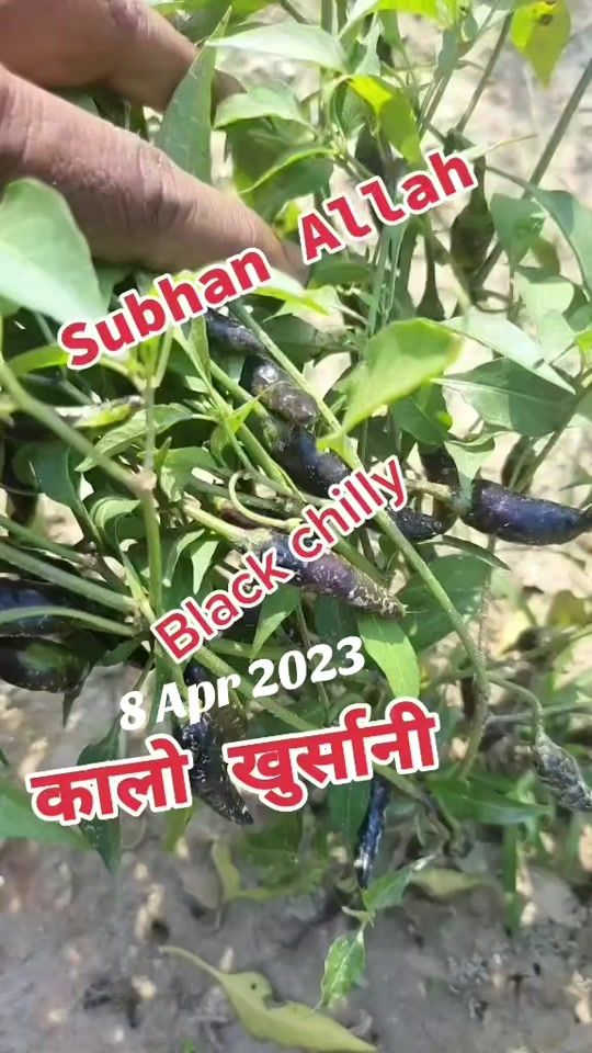 TikTok video thumbnail by md_mojahid_ansari11