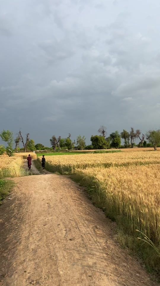 TikTok video thumbnail by maharakramofficial