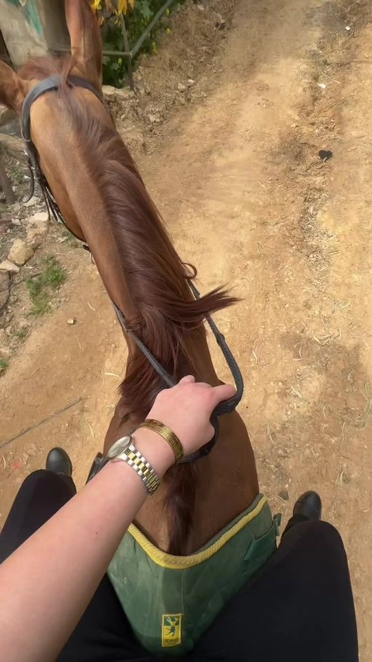 TikTok video thumbnail by oraib.masadeh