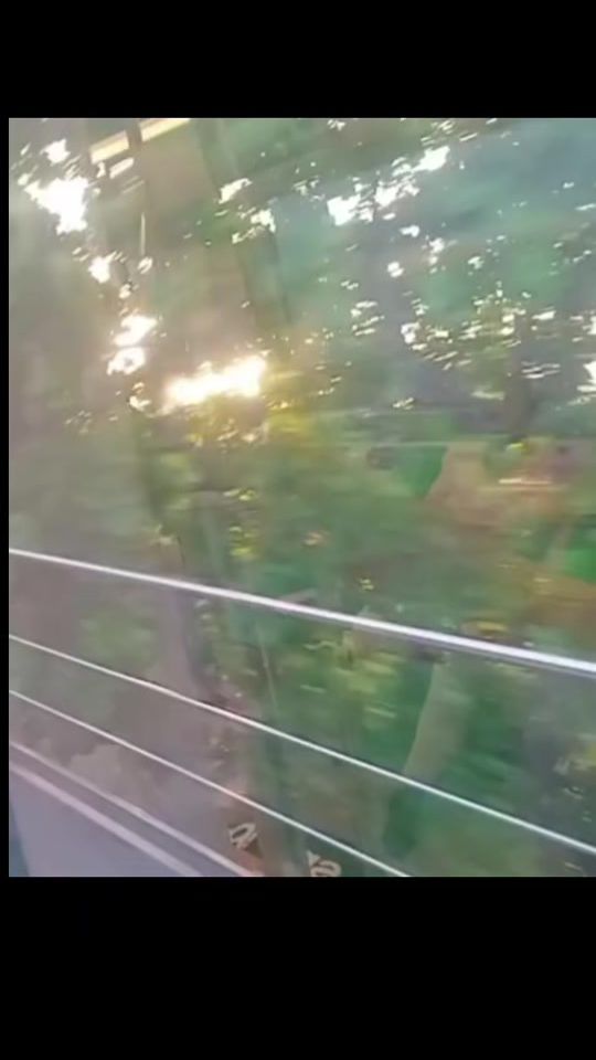 TikTok video thumbnail by jarimar_263