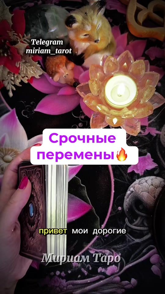 TikTok video thumbnail by miriam_tarot
