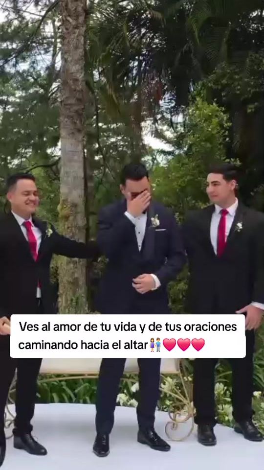TikTok video thumbnail by misionerosdecristo7
