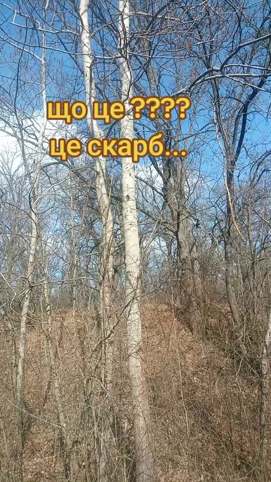 TikTok video thumbnail by likarpruroda