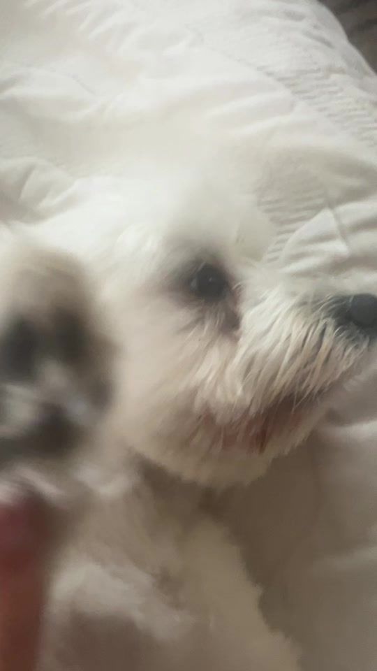 TikTok video thumbnail by teakd49