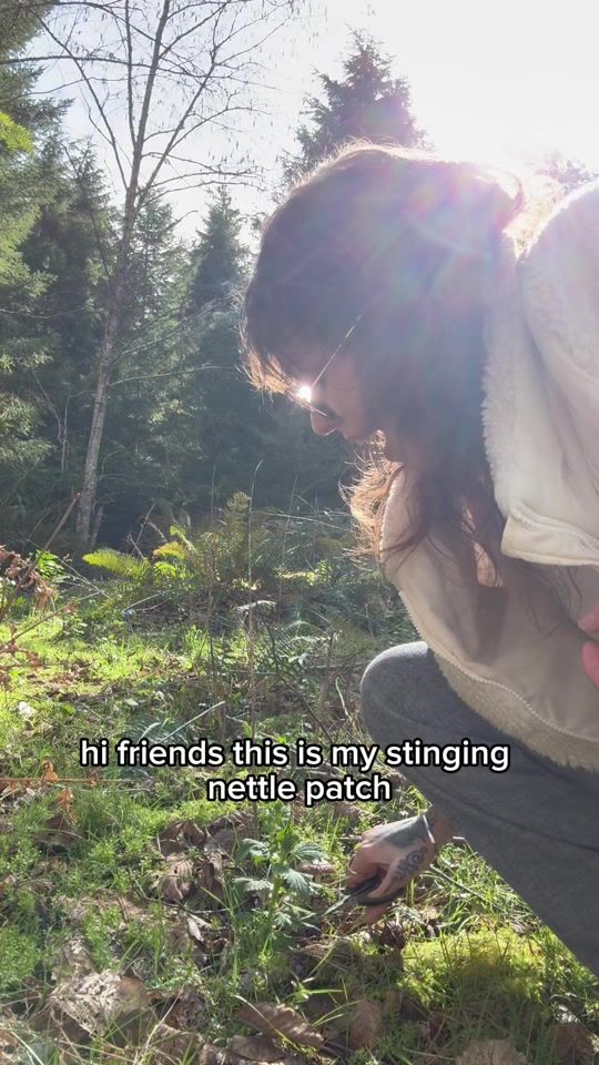 TikTok video thumbnail by whichbetty