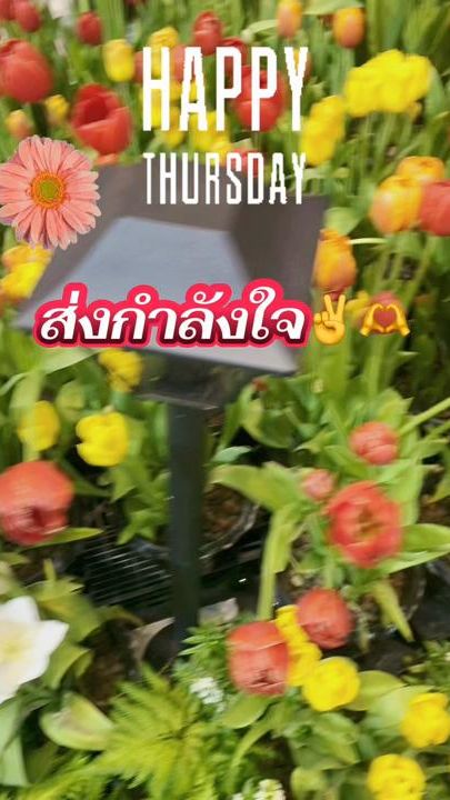 TikTok video thumbnail by fcp2469