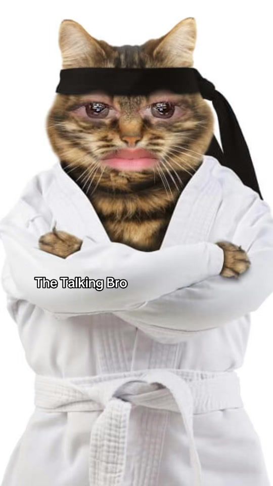 TikTok video thumbnail by talking_bro