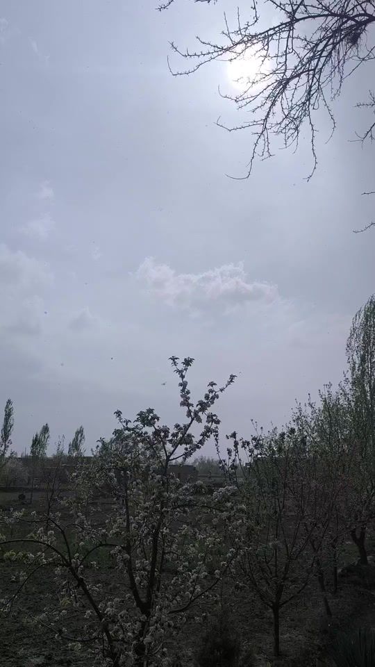 TikTok video thumbnail by baharkaaa7