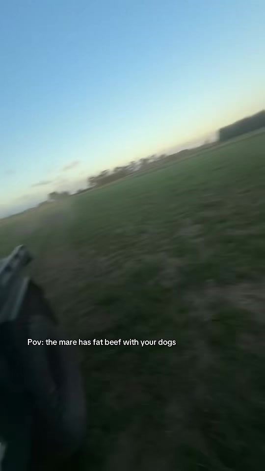 TikTok video thumbnail by llexicater