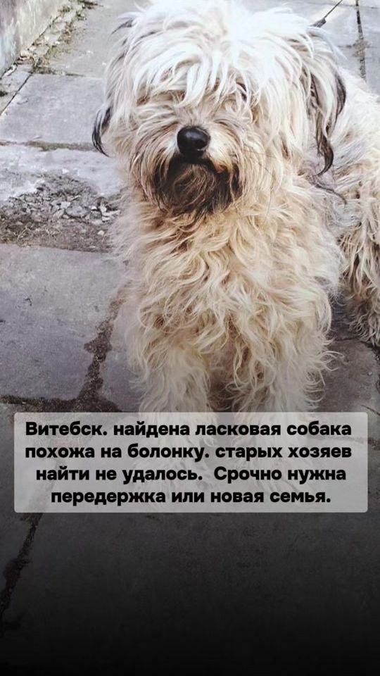 TikTok video thumbnail by bim_vitebsk