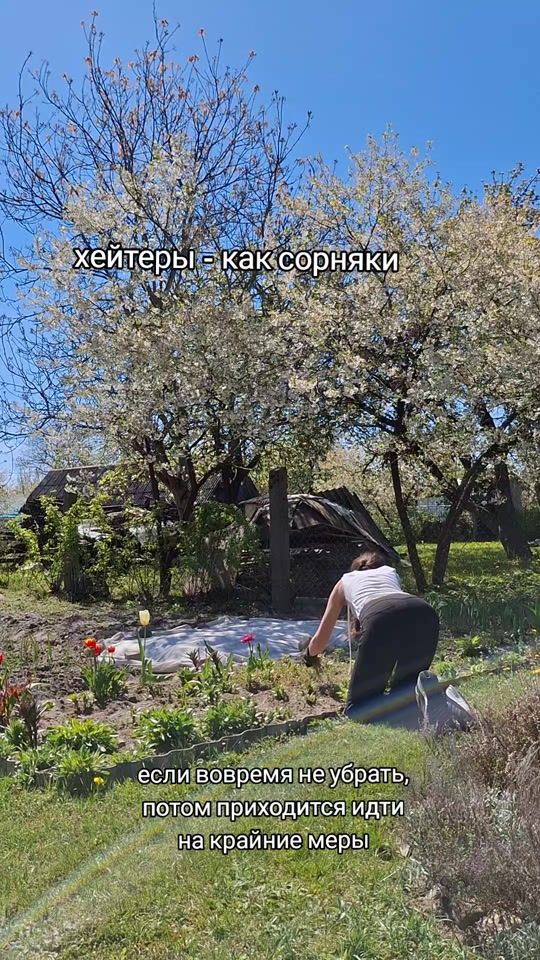 TikTok video thumbnail by li_viaris