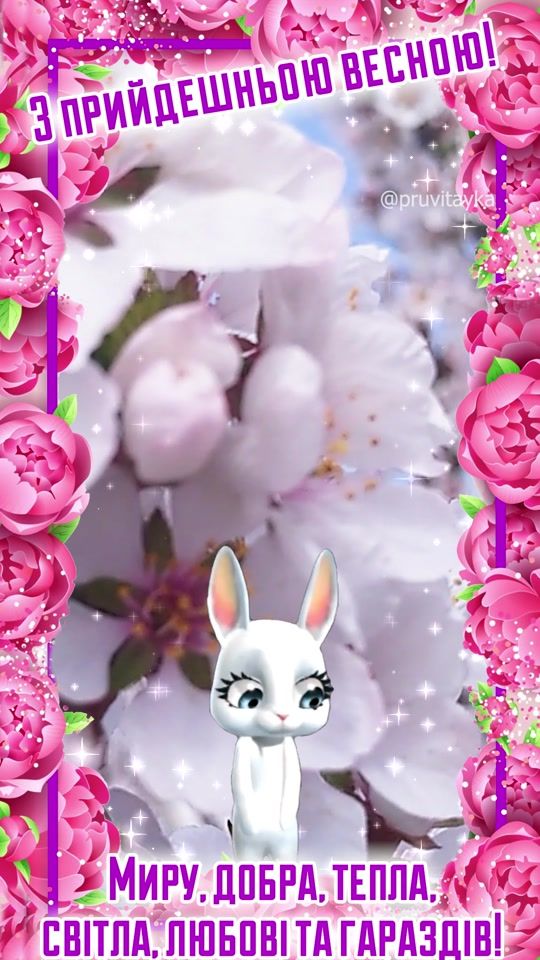 TikTok video thumbnail by pruvitayka