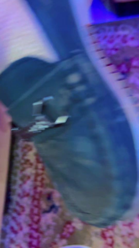 TikTok video thumbnail by touskasirani
