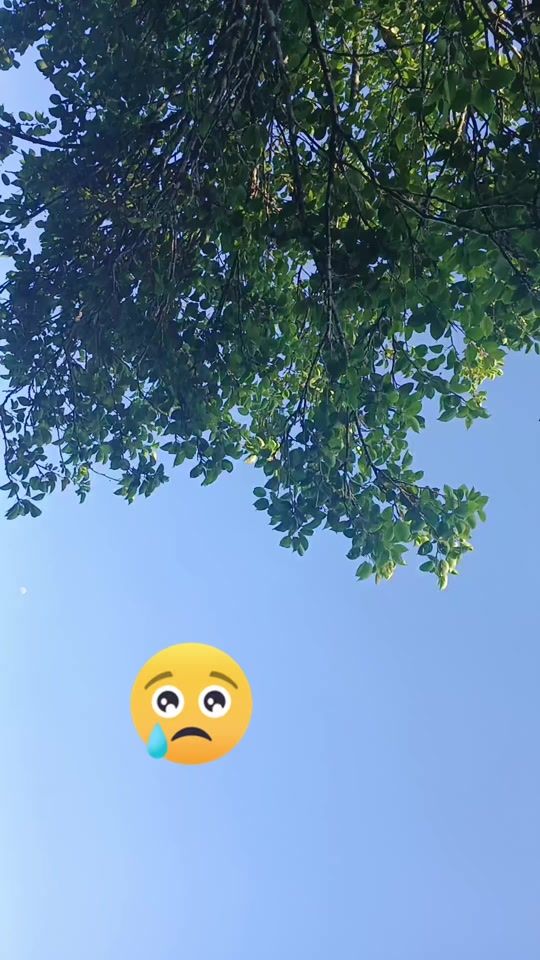 TikTok video thumbnail by icalsilvia.2