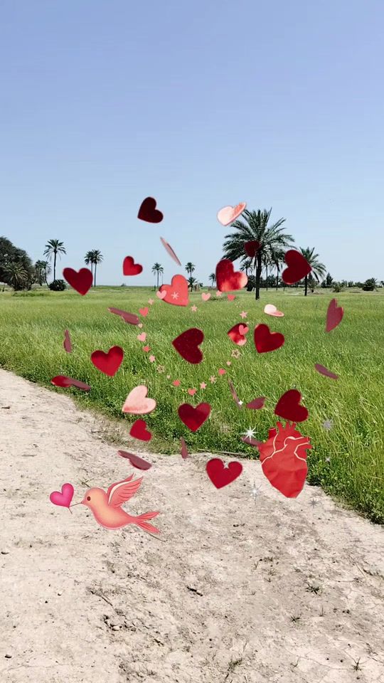 TikTok video thumbnail by userab0jtzzda1