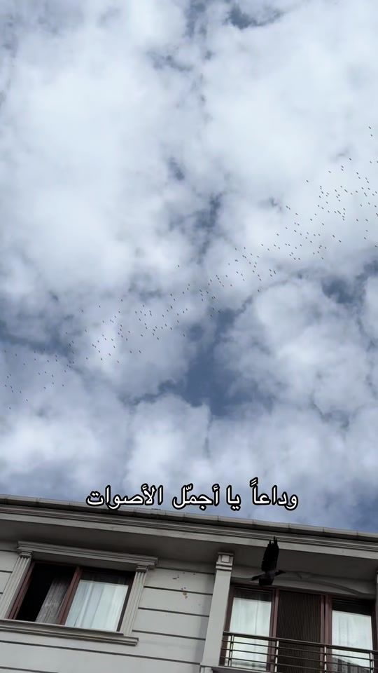 TikTok video thumbnail by rafik.alkhbbaz