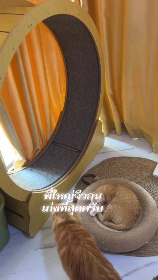 TikTok video thumbnail by ge_won116635885